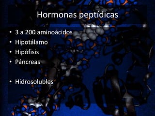Hormonas peptídicas
•
•
•
•

3 a 200 aminoácidos
Hipotálamo
Hipófisis
Páncreas

• Hidrosolubles

 