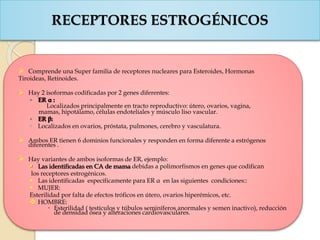 RECEPTORES ESTROGÉNICOS
 Comprende una Super familia de receptores nucleares para Esteroides, Hormonas
Tiroideas, Retinoides.
 Hay 2 isoformas codificadas por 2 genes diferentes:
◦ ER α :
 Localizados principalmente en tracto reproductivo: útero, ovarios, vagina,
mamas, hipotálamo, células endoteliales y músculo liso vascular.
◦ ER β:
◦ Localizados en ovarios, próstata, pulmones, cerebro y vasculatura.
 Ambos ER tienen 6 dominios funcionales y responden en forma diferente a estrógenos
diferentes .
 Hay variantes de ambos isoformas de ER, ejemplo:
 Las identificadas en CA de mama debidas a polimorfismos en genes que codifican
los receptores estrogénicos.
 Las identificadas específicamente para ER α en las siguientes condiciones::
 MUJER:
Esterilidad por falta de efectos tróficos en útero, ovarios hiperémicos, etc.
 HOMBRE:
 Esterilidad ( testículos y túbulos seminíferos anormales y semen inactivo), reducción
de densidad ósea y alteraciones cardiovasculares.
 