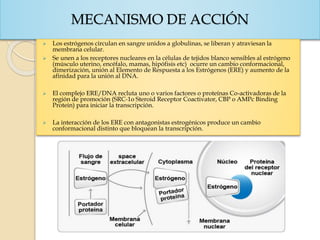 MECANISMO DE ACCIÓN
 Los estrógenos circulan en sangre unidos a globulinas, se liberan y atraviesan la
membrana celular.
 Se unen a los receptores nucleares en la células de tejidos blanco sensibles al estrógeno
(músculo uterino, encéfalo, mamas, hipófisis etc) ocurre un cambio conformacional,
dimerización, unión al Elemento de Respuesta a los Estrógenos (ERE) y aumento de la
afinidad para la unión al DNA.
 El complejo ERE/DNA recluta uno o varios factores o proteínas Co-activadoras de la
región de promoción (SRC-1o Steroid Receptor Coactivator, CBP o AMPc Binding
Protein) para iniciar la transcripción.
 La interacción de los ERE con antagonistas estrogénicos produce un cambio
conformacional distinto que bloquean la transcripción.
 