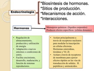 *Biosíntesis de hormonas.
*Sitios de producción.
*Mecanismos de acción.
*Interacciones.
Endocrinología
Hormonas Mensajeros químicos (líquidos corporales)
Producen efectos específicos (células distantes)
• Regulación de
almacenamiento,
producción y utilización
de energía.
• Adaptación a nuevos
entornos o condiciones de
estrés.
• Facilita crecimiento,
desarrollo, maduración, y
función de sistemas
reproductores.
• Actúan principalmente a
través de receptores nucleares
para modular la trascripción
en células efectoras.
Hormonas esteroideas,
tiroideas y Vit .D.
• Actúan a través de receptores
de membrana para ejercer
efectos rápidos en las vías de
transducción de señales. H.
peptídicas y aminoácidos.
 