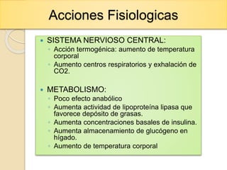 Acciones Fisiologicas
 SISTEMA NERVIOSO CENTRAL:
◦ Acción termogénica: aumento de temperatura
corporal
◦ Aumento centros respiratorios y exhalación de
CO2.
 METABOLISMO:
◦ Poco efecto anabólico
◦ Aumenta actividad de lipoproteína lipasa que
favorece depósito de grasas.
◦ Aumenta concentraciones basales de insulina.
◦ Aumenta almacenamiento de glucógeno en
hígado.
◦ Aumento de temperatura corporal
 