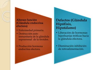 Alteran función
(Glándula endocrina
efectora)
• Enfermedad primaria.
• Destrucción auto
inmunitaria de la glándula
suprarrenal de la tiroides.
• Producción hormona
endocrina efectora.
Defectos (Glándula
Hipófisis,
Hipotálamo)
• Liberación de hormonas
hipofisarias tróficas hacia
la glándula efectora.
• Disminución inhibición
de retroalimentación.
 