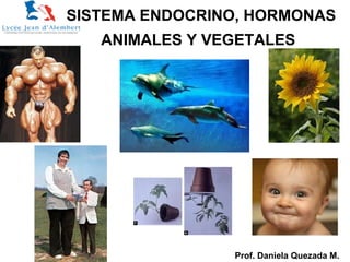 SISTEMA ENDOCRINO, HORMONAS
ANIMALES Y VEGETALES
Prof. Daniela Quezada M.
 