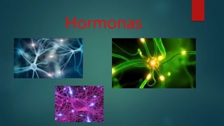Hormonas
 