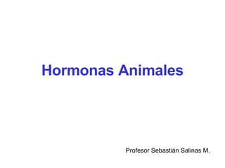 Hormonas Animales Profesor Sebastián Salinas M. 