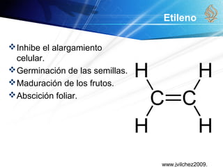 www.jvilchez2009.
Etileno
Inhibe el alargamiento
celular.
Germinación de las semillas.
Maduración de los frutos.
Abscición foliar.
 