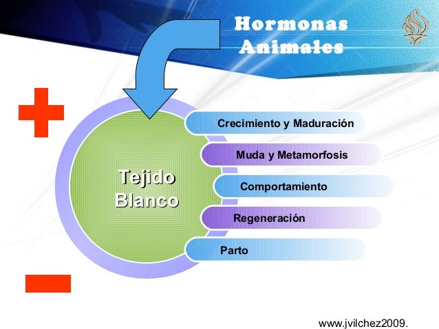 Teoria hormonal_teoria_online