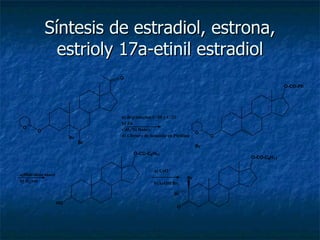 Síntesis de estradiol, estrona, estrioly 17a-etinil estradiol 