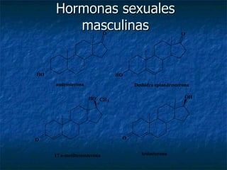 Hormonas sexuales masculinas 