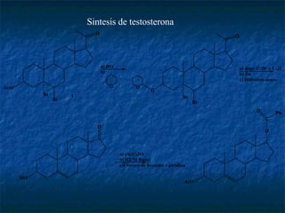 Sintesis de testosterona 