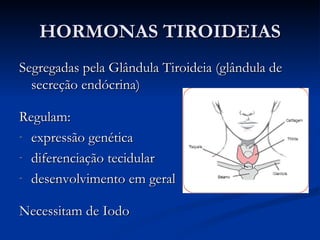 HORMONAS TIROIDEIAS Segregadas pela Glândula Tiroideia (glândula de secreção endócrina) Regulam: expressão genética diferenciação tecidular desenvolvimento em geral Necessitam de Iodo 