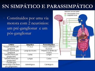 SN SIMPÁTICO E PARASSIMPÁTICO Constituídos por uma via motora com 2 neurónios: um pré-ganglionar  e um pós-ganglionar 