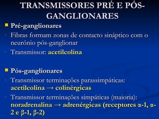 TRANSMISSORES PRÉ E PÓS-GANGLIONARES Pré-ganglionares Fibras formam zonas de contacto sináptico com o neurónio pós-ganglionar Transmissor:  acetilcolina Pós-ganglionares Transmissor terminações parassimpáticas:  acetilcolina -> colinérgicas Transmissor terminações simpáticas (maioria):  noradrenalina -> adrenérgicas (receptores  α -1,  α -2 e  β -1,  β -2) 
