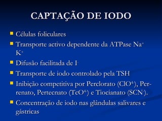CAPTAÇÃO DE IODO Células foliculares Transporte activo dependente da ATPase Na +  K + Difusão facilitada  de I - Transporte de iodo controlado pela TSH Inibição competitiva por Perclorato (ClO 4- ), Per-renato, Pertecnato (TcO 4- ) e Tiocianato (SCN - ). Concentração de iodo nas glândulas salivares e gástricas 