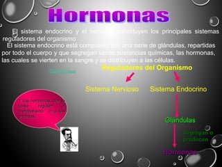 El sistema endocrino y el nervioso constituyen los principales sistemas
reguladores del organismo
El sistema endocrino está compuesto por una serie de glándulas, repartidas
por todo el cuerpo y que segregan varias sustancias químicas, las hormonas,
las cuales se vierten en la sangre y se distribuyen a las células.
Sistema Nervioso Sistema Endocrino
Reguladores del Organismo
GlándulasGlándulas
HormonasHormonas
Segregan oSegregan o
producenproducen
Y las hormonas, por loY las hormonas, por lo
tanto, regulan eltanto, regulan el
metabolismo, o a lasmetabolismo, o a las
enzimas.enzimas.
Glándulas
 