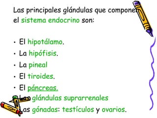 Las principales glándulas que componen el  sistema endocrino  son: El  hipotálamo .  La  hipófisis .  La  pineal   El  tiroides .  El  páncreas.   Las  glándulas suprarrenales   Las  gónadas :  testículos  y  ovarios .  