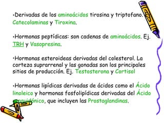 Derivadas de los  aminoácidos  tirosina y triptofano. Ej.  Catecolaminas  y  Tiroxina .  Hormonas peptídicas: son cadenas de  aminoácidos . Ej.  TRH  y  Vasopresina .  Hormonas esteroideas derivadas del colesterol. La corteza suprarrenal y las gonadas son los principales sitios de producción. Ej.  Testosterona  y  Cortisol   Hormonas lipídicas derivadas de ácidos como el  Ácido  linoleico  y hormonas fosfolipídicas derivadas del  Ácido  araquidónico , que incluyen las  Prostaglandinas . 