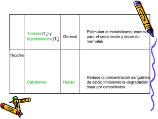 Reduce la concentración sanguínea de calcio inhibiendo la degradación ósea por osteoclastos Hueso Calcitonina Estimulan el metabolismo; esencial para el crecimiento y dearrollo normales General Tiroxina  (T 4 ) y  triyodotironina  (T 3 ) Tiroides 