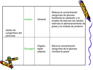 Eleva la concentración sanguínea de la glucosa moviliza la grasa Hígado, tejido adiposo Glucagón Reduce la concentración sanguínea de glucosa facilitando la captación y el empleo de ésta por las células; estimula el alamacenamiento de grasa y la síntesis de proteína General Insulina Islotes de Langerhans del páncreas 