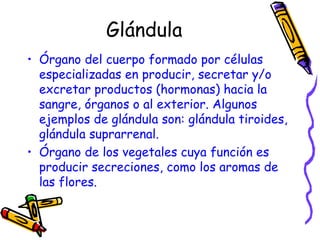 Glándula Órgano del cuerpo formado por células especializadas en producir, secretar y/o excretar productos (hormonas) hacia la sangre, órganos o al exterior. Algunos ejemplos de glándula son: glándula tiroides, glándula suprarrenal. Órgano de los vegetales cuya función es producir secreciones, como los aromas de las flores.  