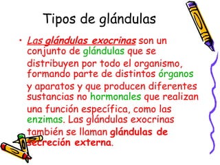 Tipos de glándulas Las  glándulas exocrinas  son un conjunto de  glándulas  que se distribuyen por todo el organismo, formando parte de distintos  órganos  y aparatos y que producen diferentes sustancias no  hormonales  que realizan una función específica, como las  enzimas . Las glándulas exocrinas también se llaman  glándulas de secreción externa .  