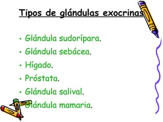 Tipos de glándulas exocrinas Glándula sudorípara .  Glándula sebácea .  Hígado .  Próstata .  Glándula salival .  Glándula mamaria . 