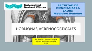 HORMONAS ACRENOCORTICALES
Dr. Alvaro N. Hostia Cardeña
Medico Nefrólogo – HNGAI
2021
 