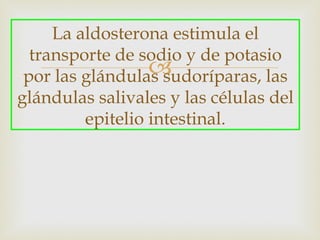 La aldosterona estimula el
  transporte de sodio y de potasio
                  
 por las glándulas sudoríparas, las
glándulas salivales y las células del
         epitelio intestinal.
 