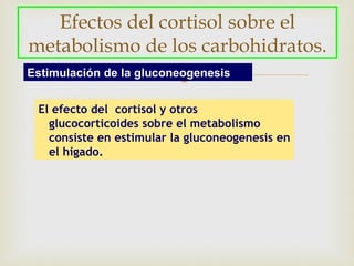 Efectos del cortisol sobre el
metabolismo de los carbohidratos.
                       
Estimulación de la gluconeogenesis


 El efecto del cortisol y otros
   glucocorticoides sobre el metabolismo
   consiste en estimular la gluconeogenesis en
   el hígado.
 