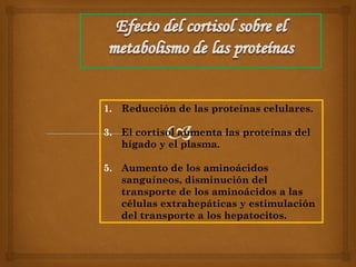 1. Reducción de las proteínas celulares.

3. El cortisol aumenta las proteínas del
   hígado y el plasma.

5. Aumento de los aminoácidos
   sanguíneos, disminución del
   transporte de los aminoácidos a las
   células extrahepáticas y estimulación
   del transporte a los hepatocitos.
 