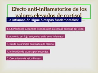 Efecto anti-inflamatorios de los
     valores elevados de cortisol:
                          cortisol
                                      
La inflamación sigue 5 etapas fundamentales:

1. Liberación de sustancias químicas por las células dañadas del tejido.


2. Aumento del flujo sanguíneo en la zona inflamada.


3. Salida de grandes cantidades de plasma.


4. Infiltración de la zona por leucocitos.

5. Crecimiento de tejido fibroso.
 