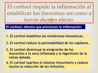 El cortisol impide la inflamación al
estabilizar los lisosomas así como a
        través de efecto.
                   otro
El cortisol, efectos que previenen la inflamación:

1. El cortisol estabiliza las membranas lisosomicas.

2. El cortisol reduce la permeabilidad de los capilares.

3. El cortisol disminuye la emigración de los
  leucocitos a la zona inflamada y la fagocitosis de la
  célula dañada.
4. El cortisol suprime el sistema inmunitario y reduce
  mucho la reducción de los linfocitos.
 