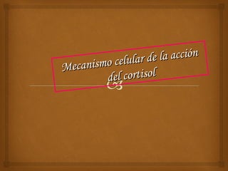 celular de  la acción
M ecanismo
         d el cortisol
 
