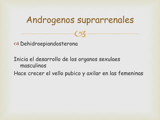 Androgenos suprarrenales
                        
 Dehidroepiandosterona

Inicia el desarrollo de los organos sexulaes
  masculinos
Hace crecer el vello pubico y axilar en las femeninas
 