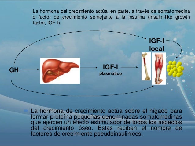 Hormona de crecimiento Hormona de crecimiento