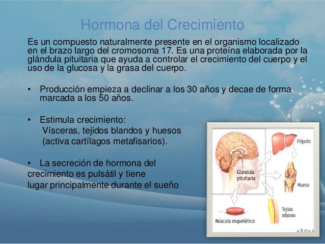 Hormona de crecimiento