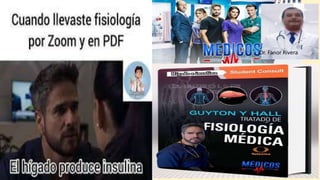 Diapositiva sobre las hormonas del pancreas .pptx