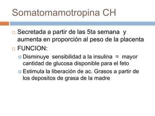 Somatomamotropina CH
   Secretada a partir de las 5ta semana y
    aumenta en proporción al peso de la placenta
   FUNCION:
     Disminuye   sensibilidad a la insulina = mayor
      cantidad de glucosa disponible para el feto
     Estimula la liberación de ac. Grasos a partir de
      los depositos de grasa de la madre
 