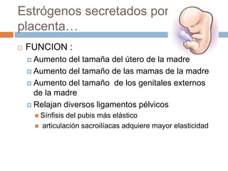 Estrógenos secretados por la
placenta…
   FUNCION :
     Aumento  del tamaña del útero de la madre
     Aumento del tamaño de las mamas de la madre

     Aumento del tamaño de los genitales externos
      de la madre
     Relajan diversos ligamentos pélvicos
       Sínfisis  del pubis más elástico
         articulación sacroilíacas adquiere mayor elasticidad
 