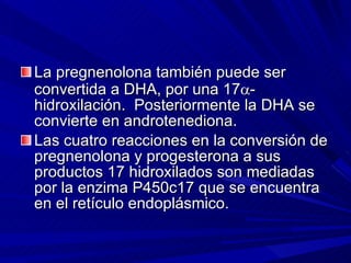 La pregnenolona también puede ser convertida a DHA, por una 17  -hidroxilación.  Posteriormente la DHA se convierte en androtenediona. Las cuatro reacciones en la conversión de pregnenolona y progesterona a sus productos 17 hidroxilados son mediadas por la enzima P450c17 que se encuentra en el retículo endoplásmico. 