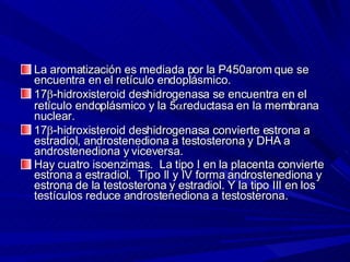 La aromatización es mediada por la P450arom que se encuentra en el retículo endoplásmico.  17  -hidroxisteroid deshidrogenasa se encuentra en el retículo endoplásmico y la 5  reductasa en la membrana nuclear.  17  -hidroxisteroid deshidrogenasa convierte estrona a estradiol, androstenediona a testosterona y DHA a androstenediona y viceversa. Hay cuatro isoenzimas.  La tipo I en la placenta convierte estrona a estradiol.  Tipo II y IV forma androstenediona y estrona de la testosterona y estradiol. Y la tipo III en los testículos reduce androstenediona a testosterona. 