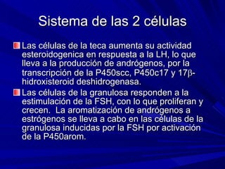 Sistema de las 2 células Las células de la teca aumenta su actividad esteroidogenica en respuesta a la LH, lo que lleva a la producción de andrógenos, por la transcripción de la P450scc, P450c17 y 17  -hidroxisteroid deshidrogenasa. Las células de la granulosa responden a la estimulación de la FSH, con lo que proliferan y crecen.  La aromatización de andrógenos a estrógenos se lleva a cabo en las células de la granulosa inducidas por la FSH por activación de la P450arom. 