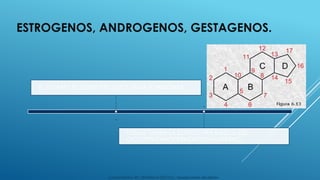Hormonas esteroideas y no esteroideas.pptx