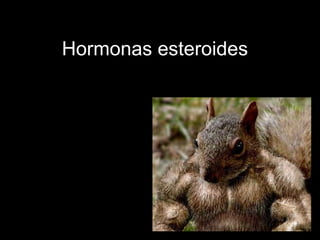 Hormonas esteroides
 