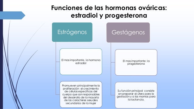 Las frutas u hortalizas para la potencia