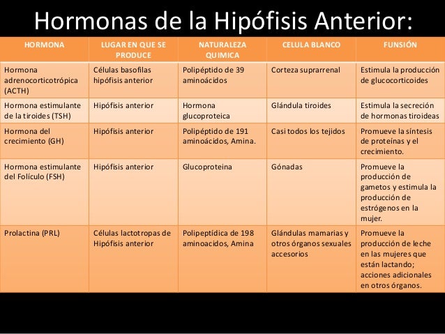 Clasificación de las Hormonas
