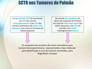 SCTR nos Tumores do Pulmão


 A expressão do SCTR foi encontrada         No pulmão não neoplásico foi
        em 62% dos cancros                 observada expressão do receptor
  broncopulmonares e em 12% dos           em casos de inflamação aguda dos
tumores pulmonares de células não-          septos alveolares, mas não em
pequenas, mas nunca em tumores de                pulmões com tecido
          células pequenas                    histologicamente normal




          Os receptores de secretina são novos marcadores para
       tumores broncopulmonares, representando a base molecular
          para identificação in vivo de tumores carcinóides, para
                           diagnóstico e terapia
 