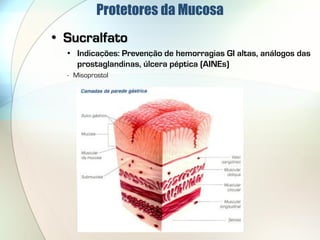 Protetores da Mucosa
• Sucralfato
  • Indicações: Prevenção de hemorragias GI altas, análogos das
    prostaglandinas, úlcera péptica (AINEs)
  - Misoprostol
 