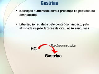 Gastrina
• Secreção aumentada com a presença de péptidos ou
  aminoácidos

• Libertação regulada pelo conteúdo gástrico, pela
  atividade vagal e fatores da circulação sanguínea




                        Feedback negativo
          HCl
                    Gastrina
 