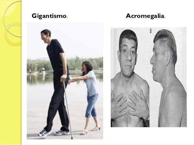 sistema-endocrino-teor-a-m-dulo-sistemas-de-mantenimiento